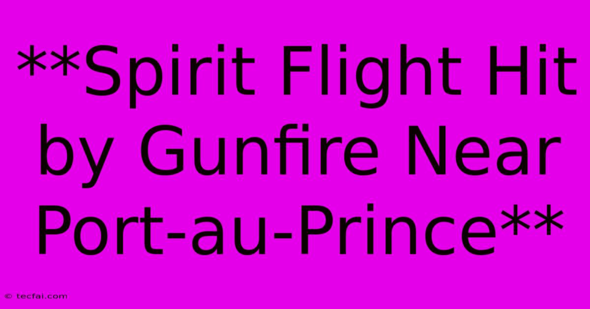 **Spirit Flight Hit By Gunfire Near Port-au-Prince**