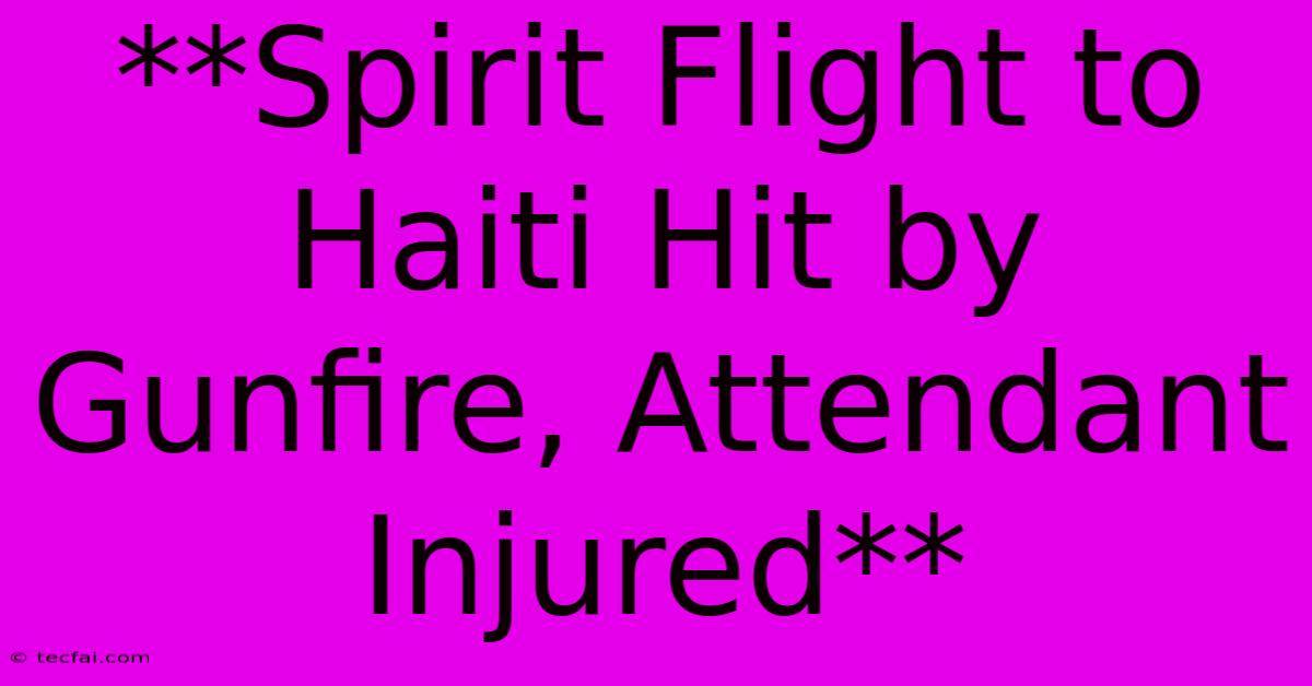 **Spirit Flight To Haiti Hit By Gunfire, Attendant Injured** 