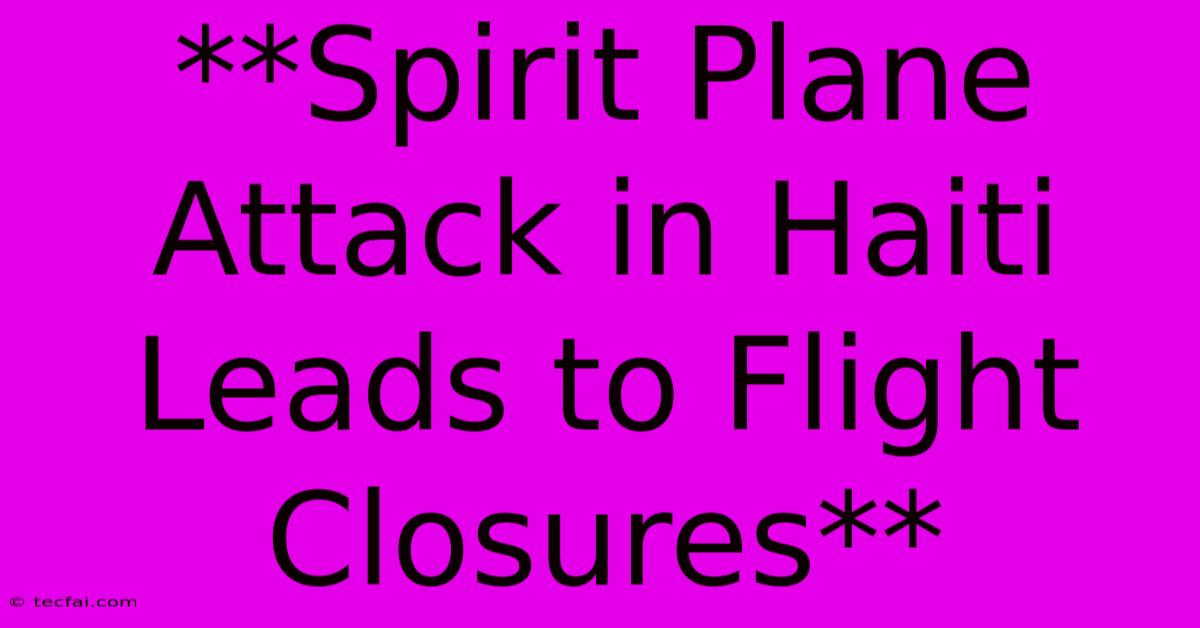 **Spirit Plane Attack In Haiti Leads To Flight Closures** 