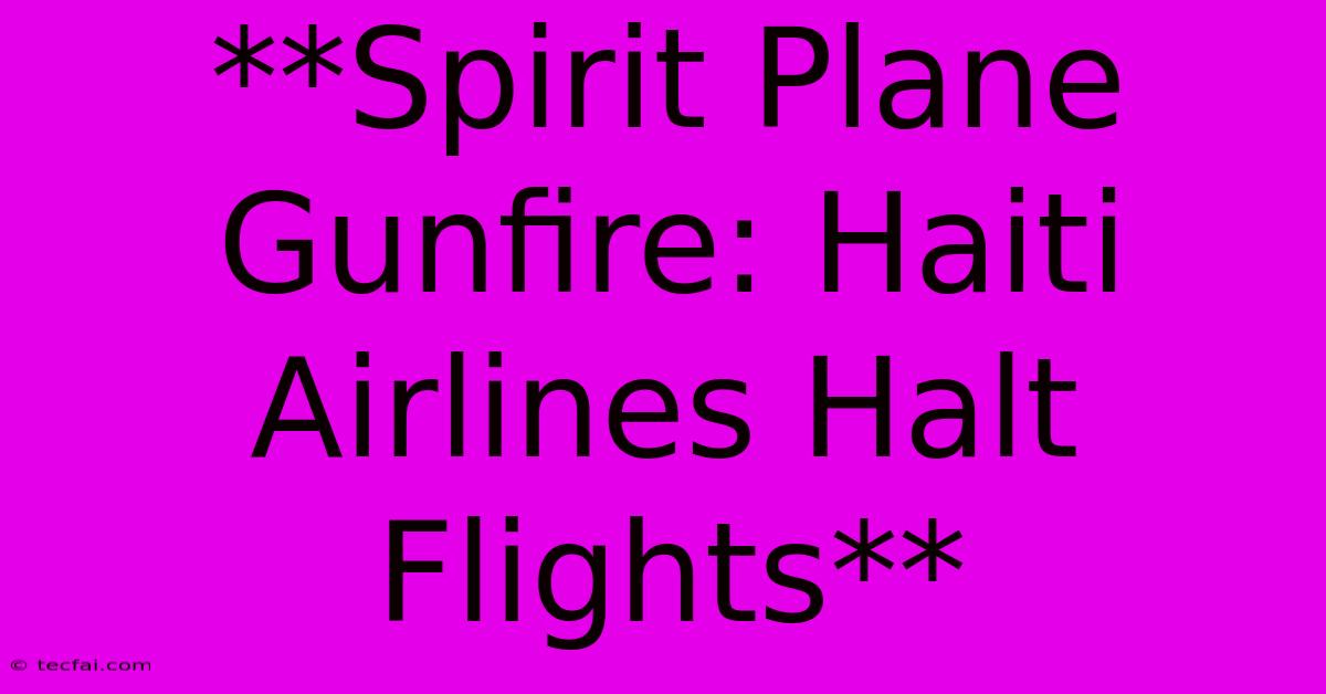 **Spirit Plane Gunfire: Haiti Airlines Halt Flights**