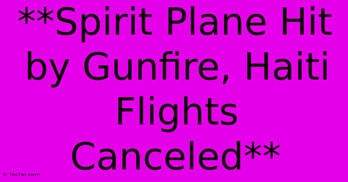 **Spirit Plane Hit By Gunfire, Haiti Flights Canceled**