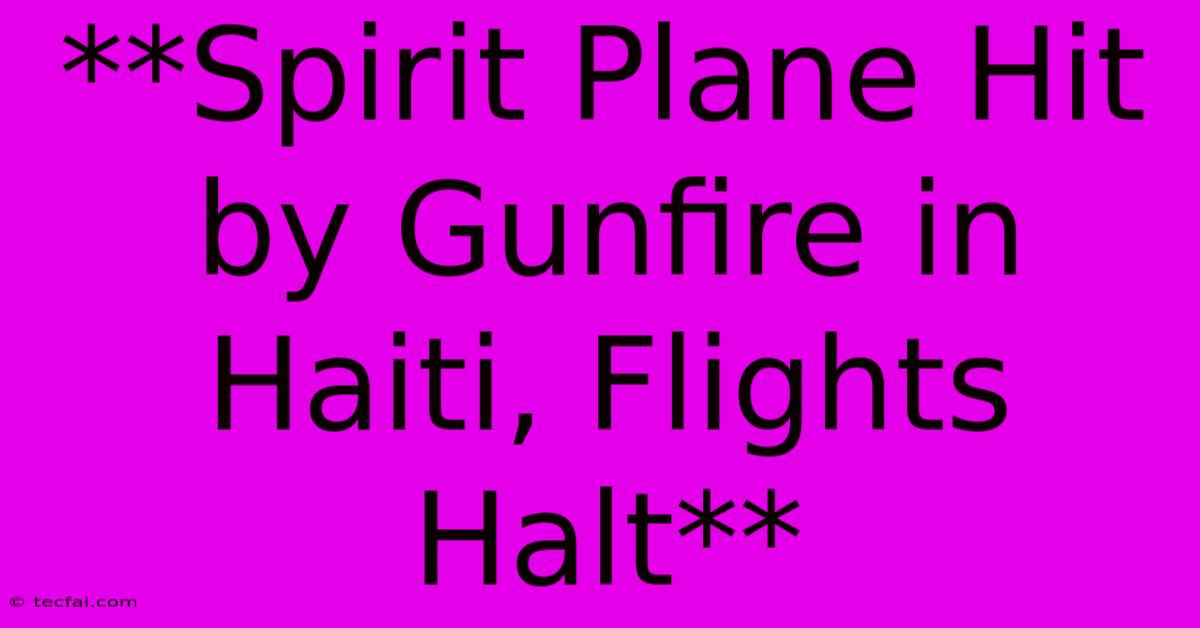 **Spirit Plane Hit By Gunfire In Haiti, Flights Halt**