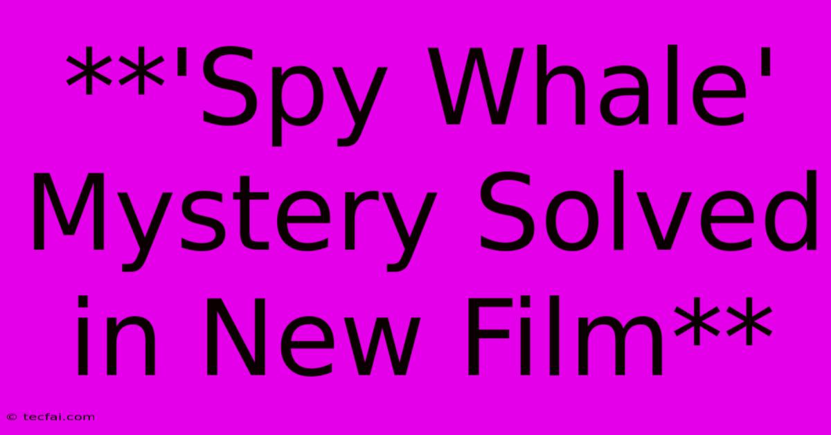 **'Spy Whale' Mystery Solved In New Film**