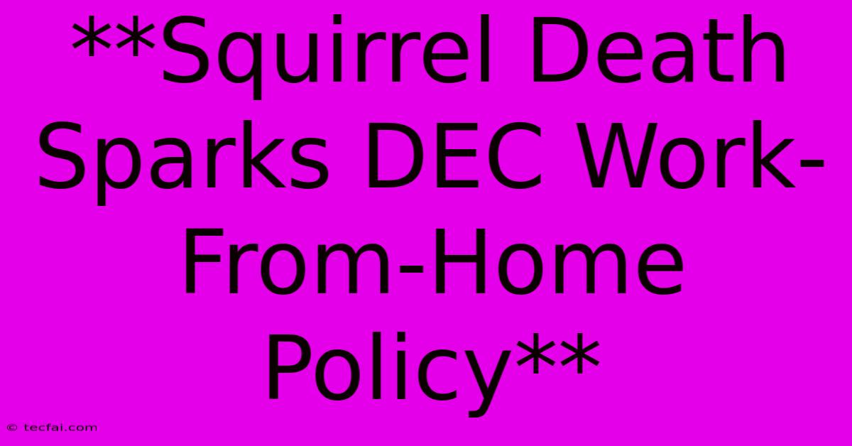 **Squirrel Death Sparks DEC Work-From-Home Policy**