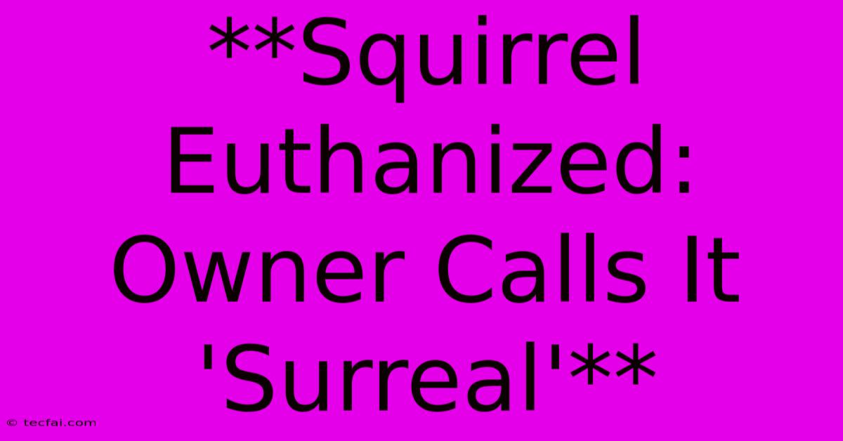 **Squirrel Euthanized: Owner Calls It 'Surreal'** 