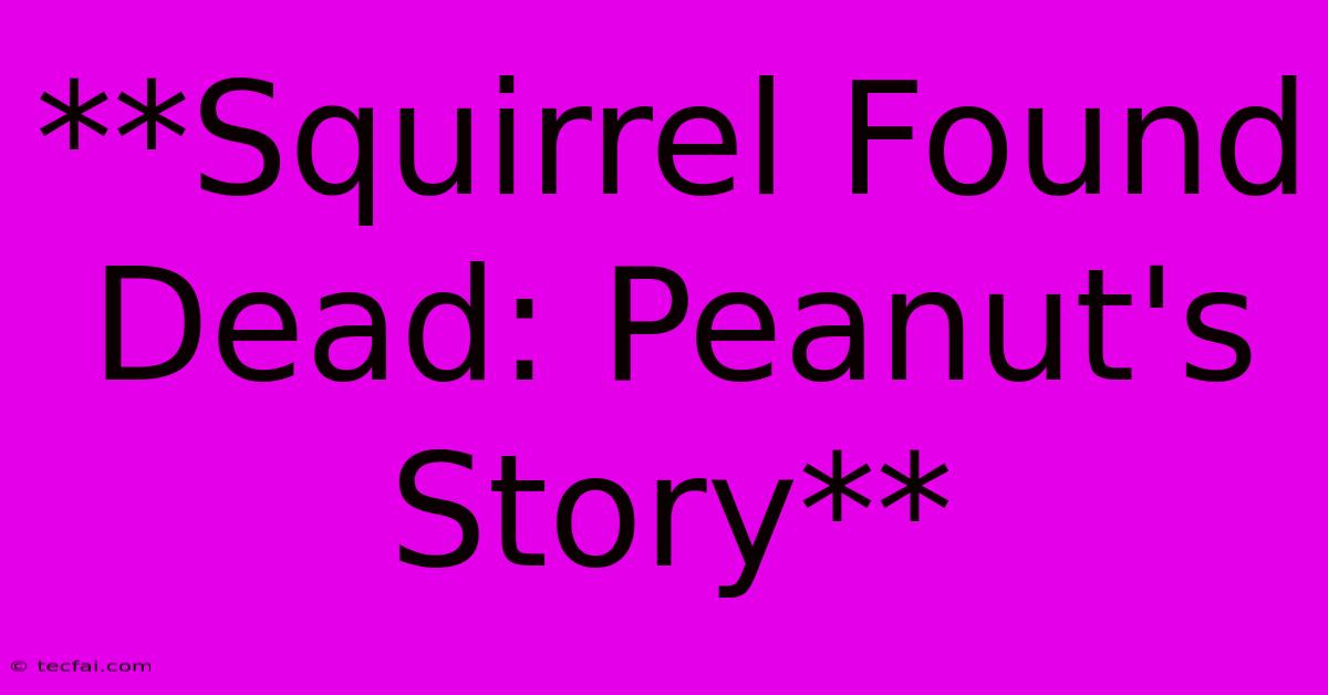 **Squirrel Found Dead: Peanut's Story**