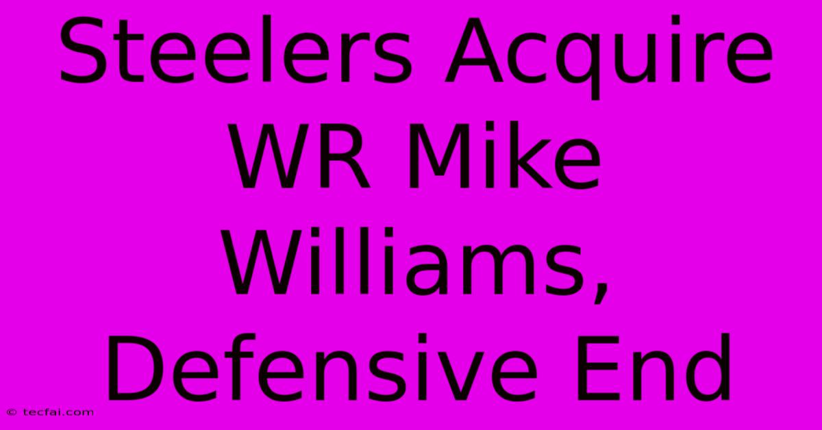 Steelers Acquire WR Mike Williams, Defensive End