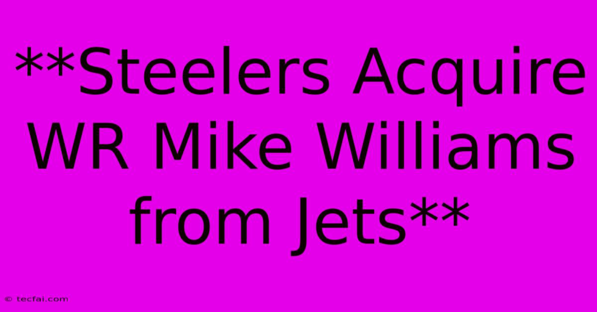 **Steelers Acquire WR Mike Williams From Jets**