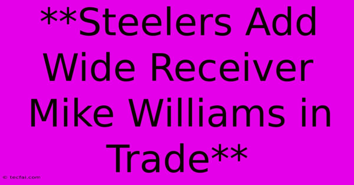 **Steelers Add Wide Receiver Mike Williams In Trade** 