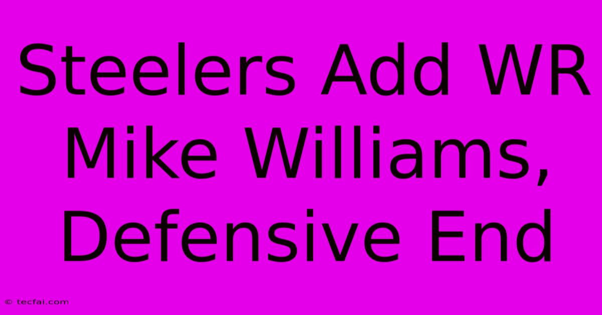 Steelers Add WR Mike Williams, Defensive End