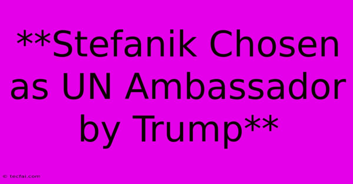 **Stefanik Chosen As UN Ambassador By Trump**