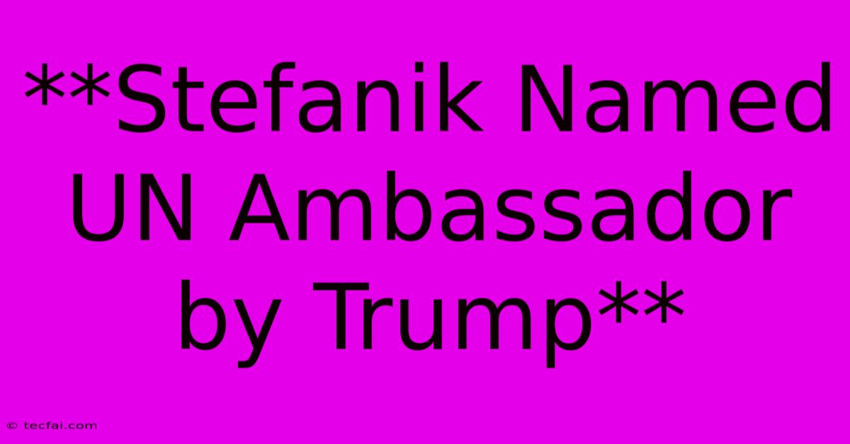 **Stefanik Named UN Ambassador By Trump**