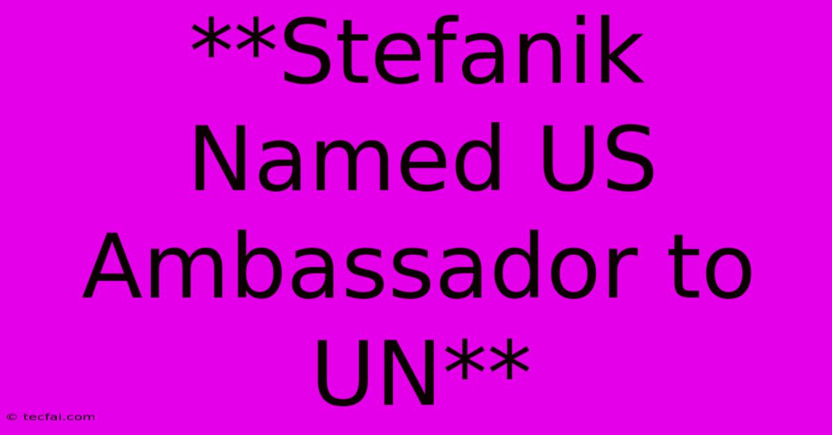 **Stefanik Named US Ambassador To UN**