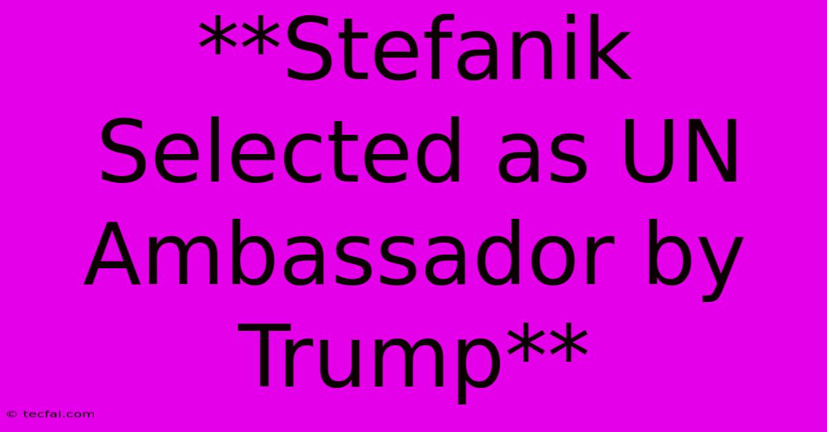 **Stefanik Selected As UN Ambassador By Trump**