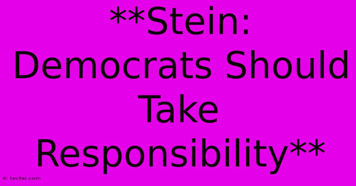 **Stein: Democrats Should Take Responsibility**