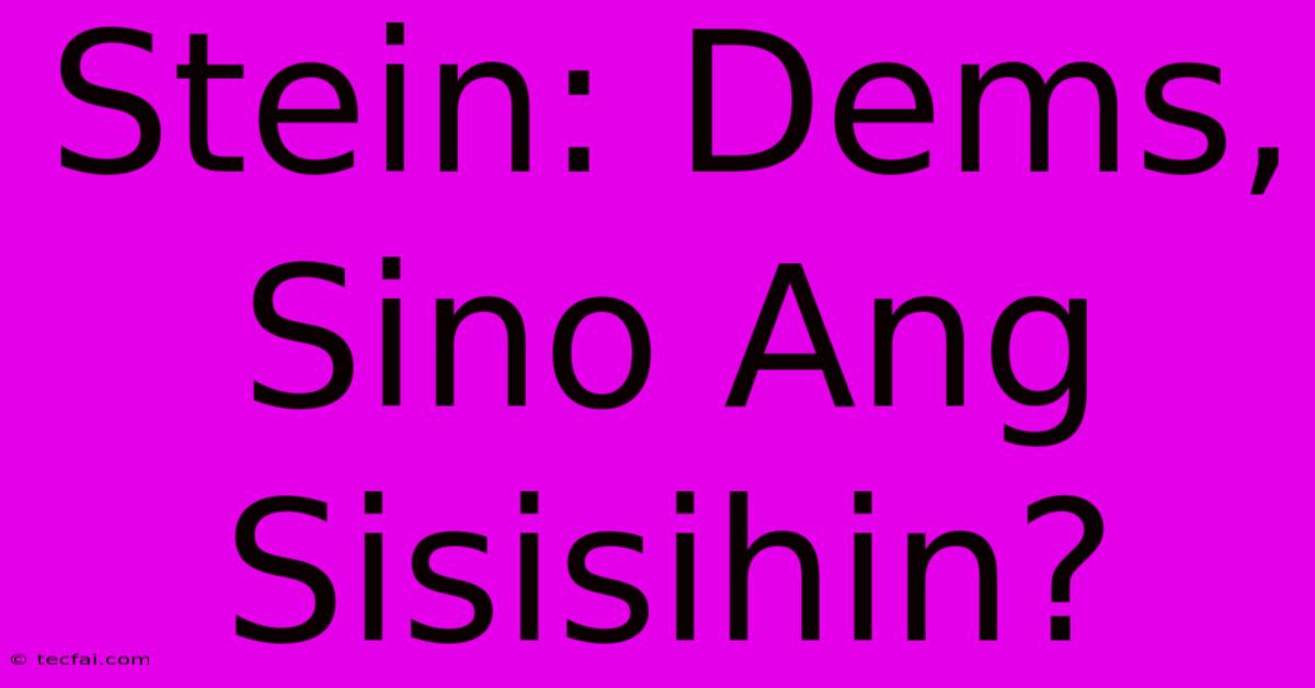 Stein: Dems, Sino Ang Sisisihin?