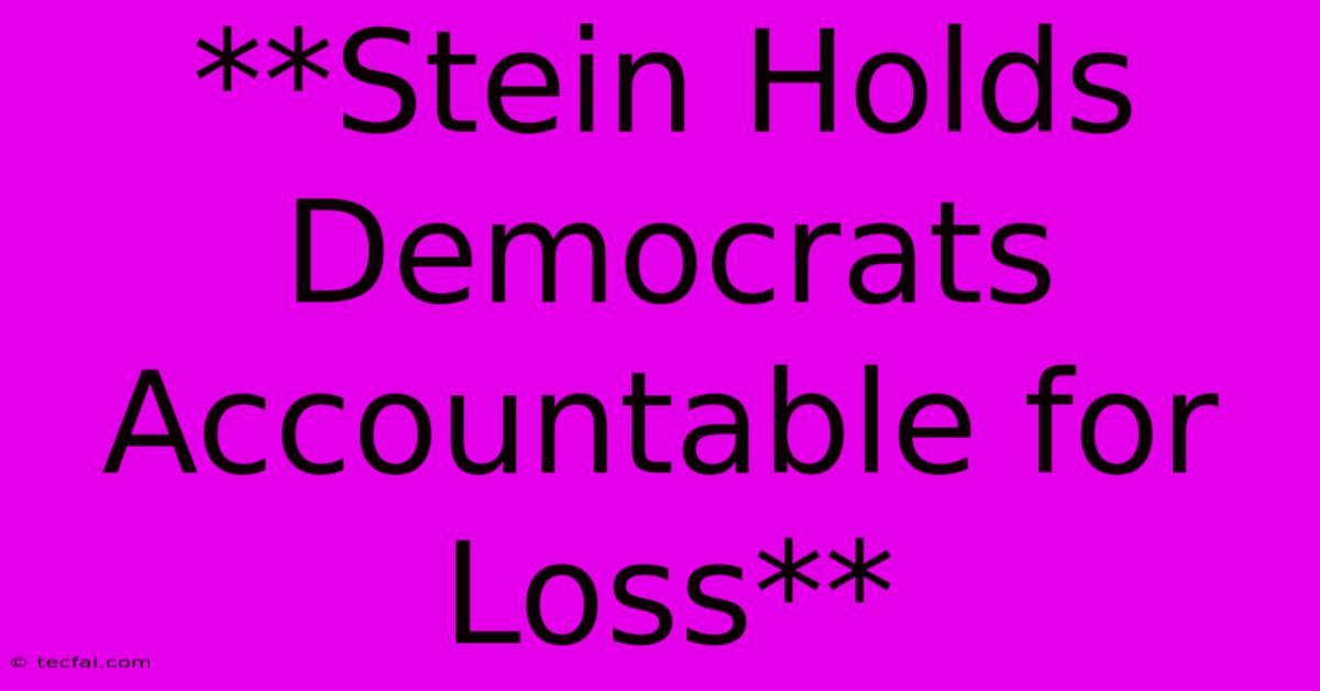 **Stein Holds Democrats Accountable For Loss**