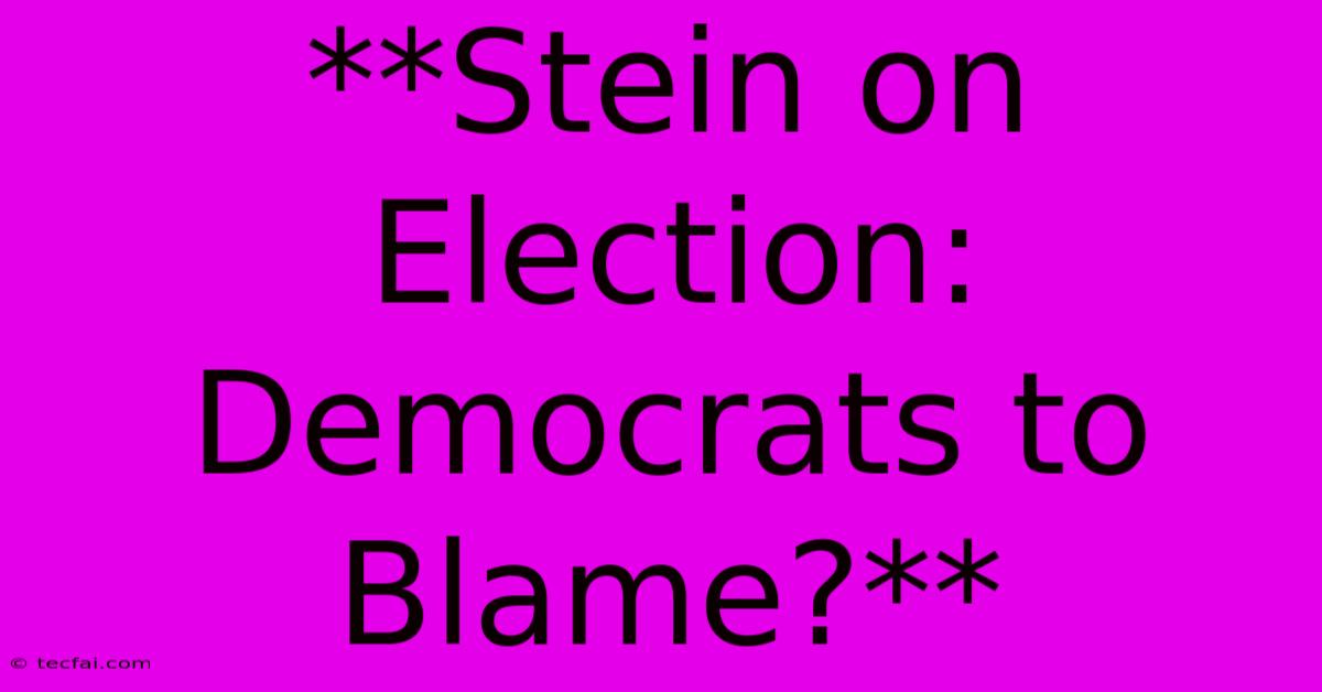 **Stein On Election: Democrats To Blame?**