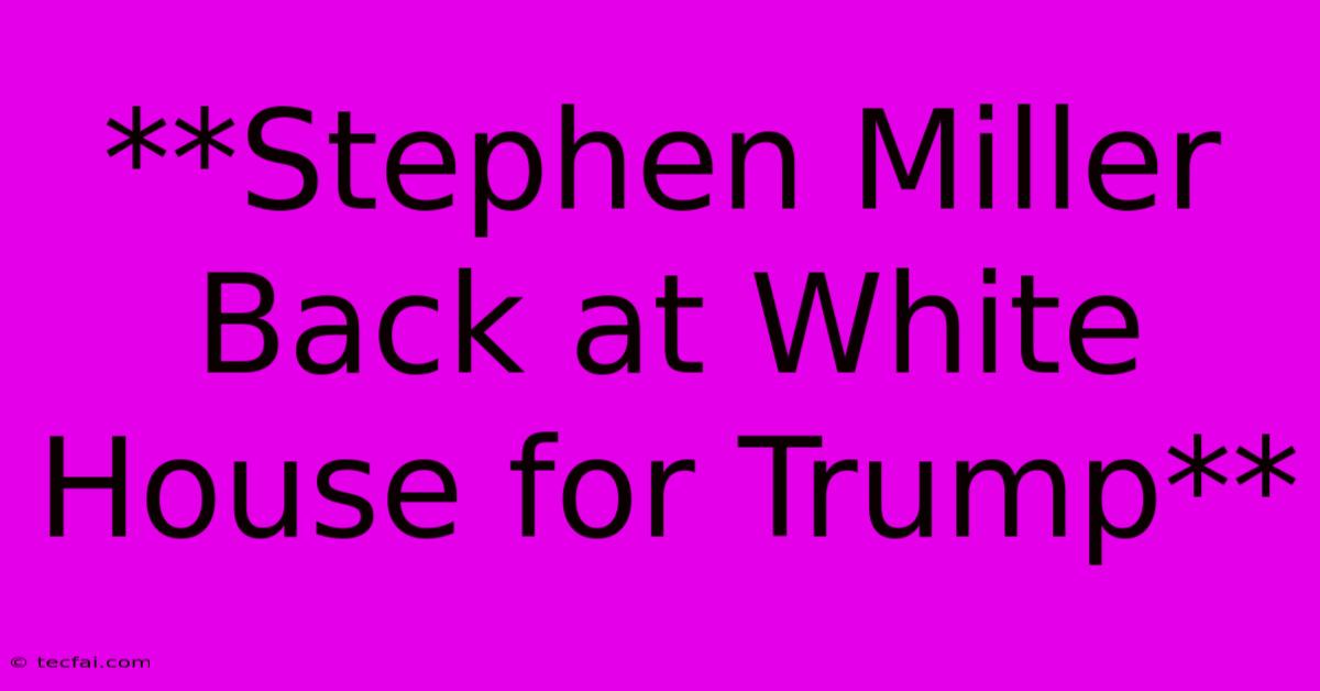 **Stephen Miller Back At White House For Trump**