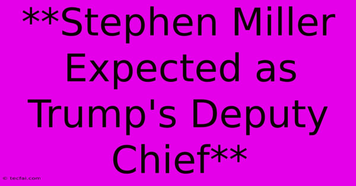 **Stephen Miller Expected As Trump's Deputy Chief**