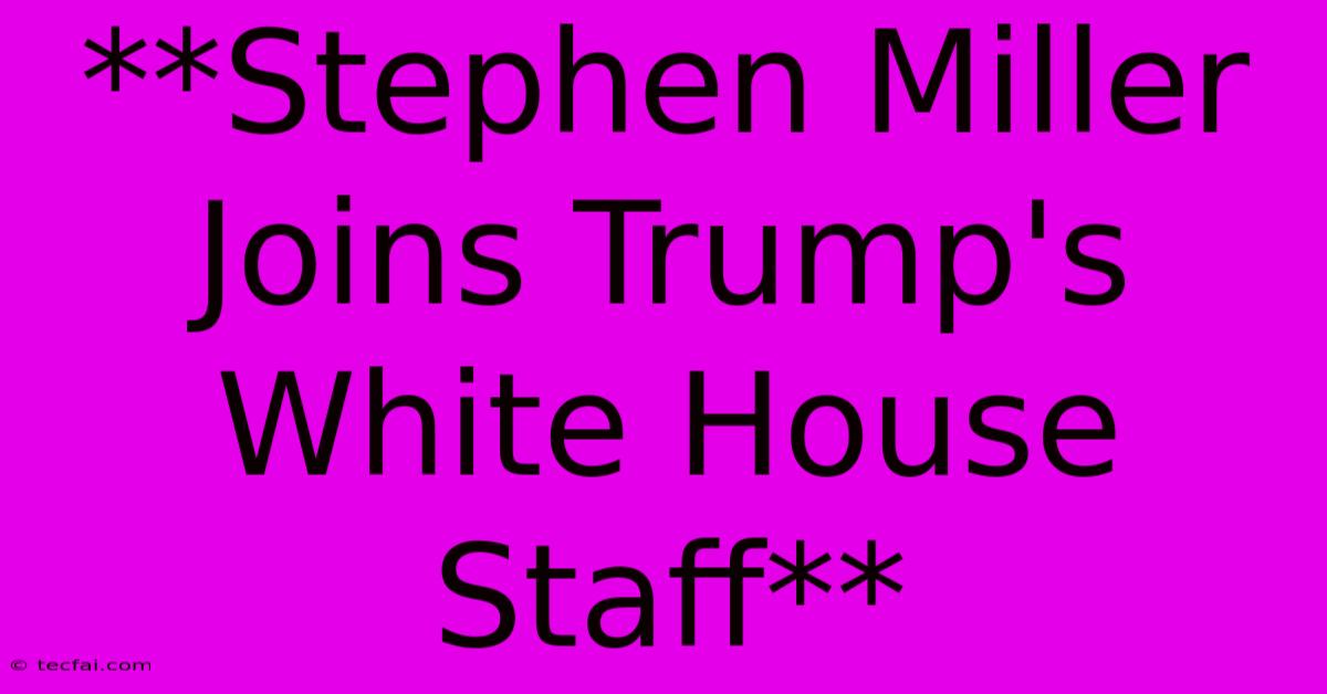 **Stephen Miller Joins Trump's White House Staff** 