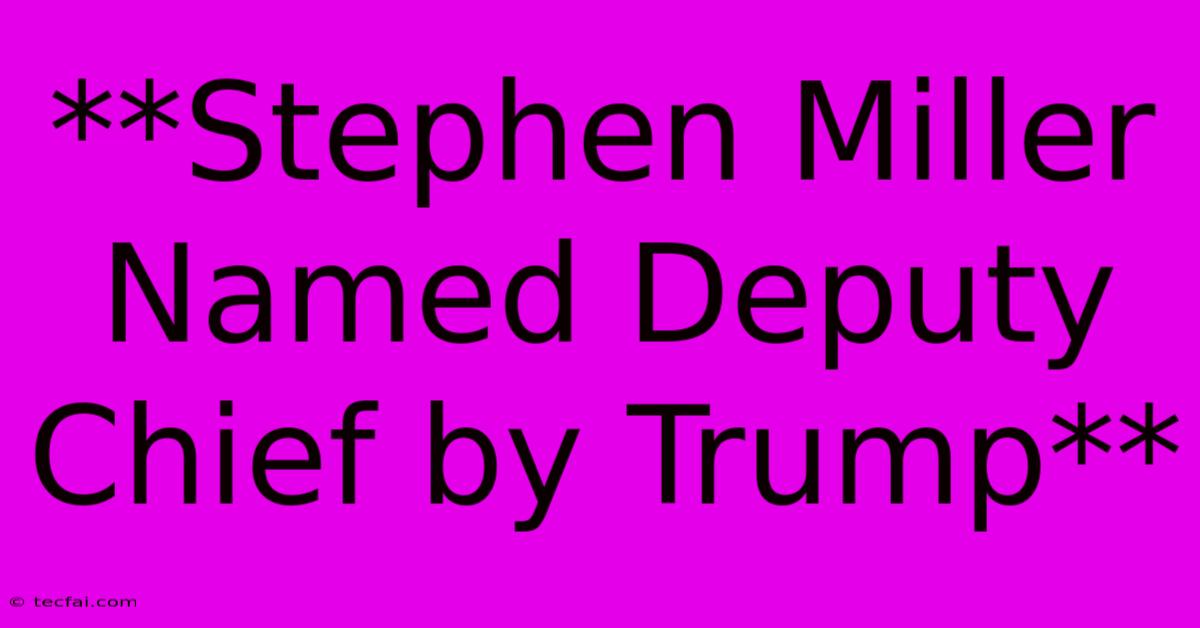 **Stephen Miller Named Deputy Chief By Trump**