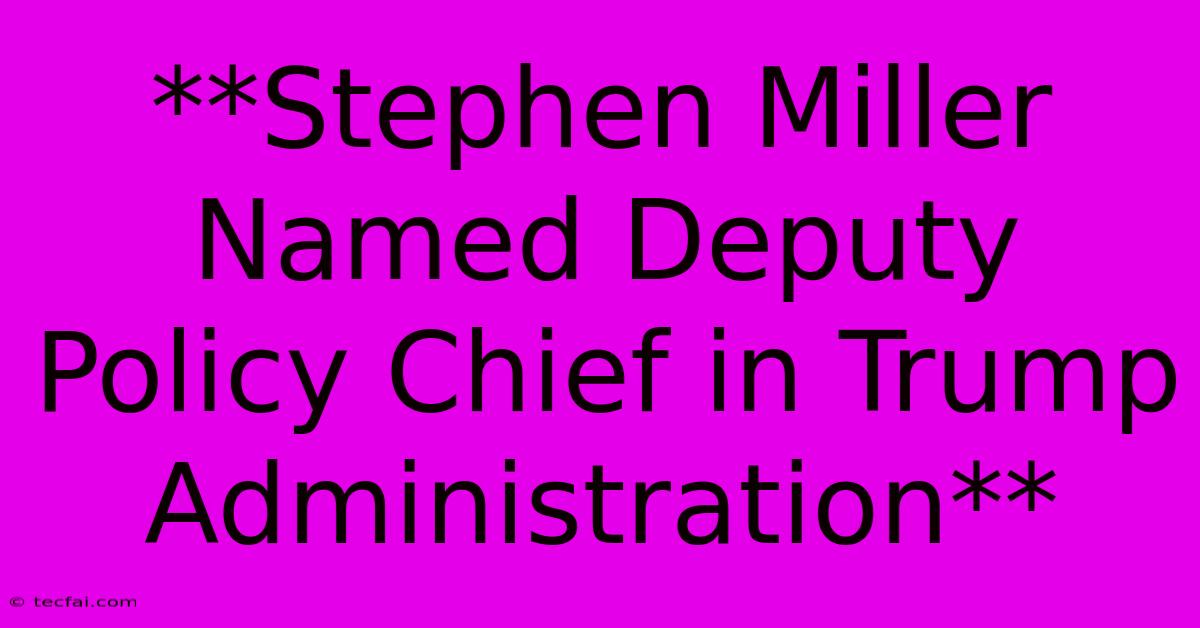 **Stephen Miller Named Deputy Policy Chief In Trump Administration**