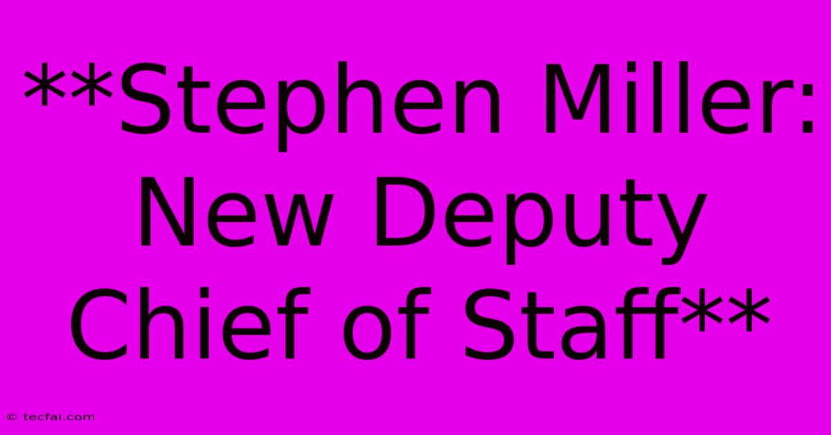 **Stephen Miller: New Deputy Chief Of Staff** 