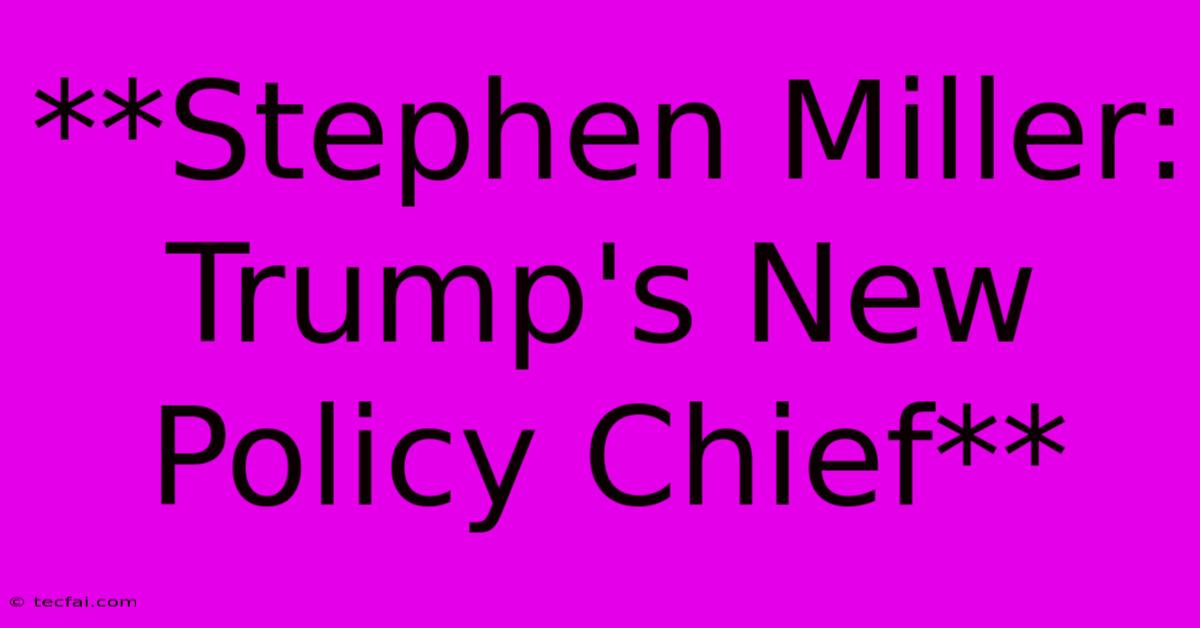 **Stephen Miller: Trump's New Policy Chief** 