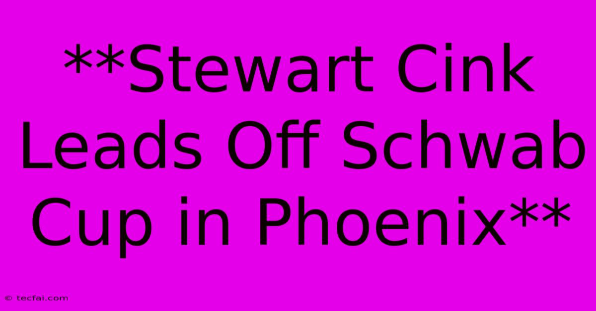 **Stewart Cink Leads Off Schwab Cup In Phoenix**