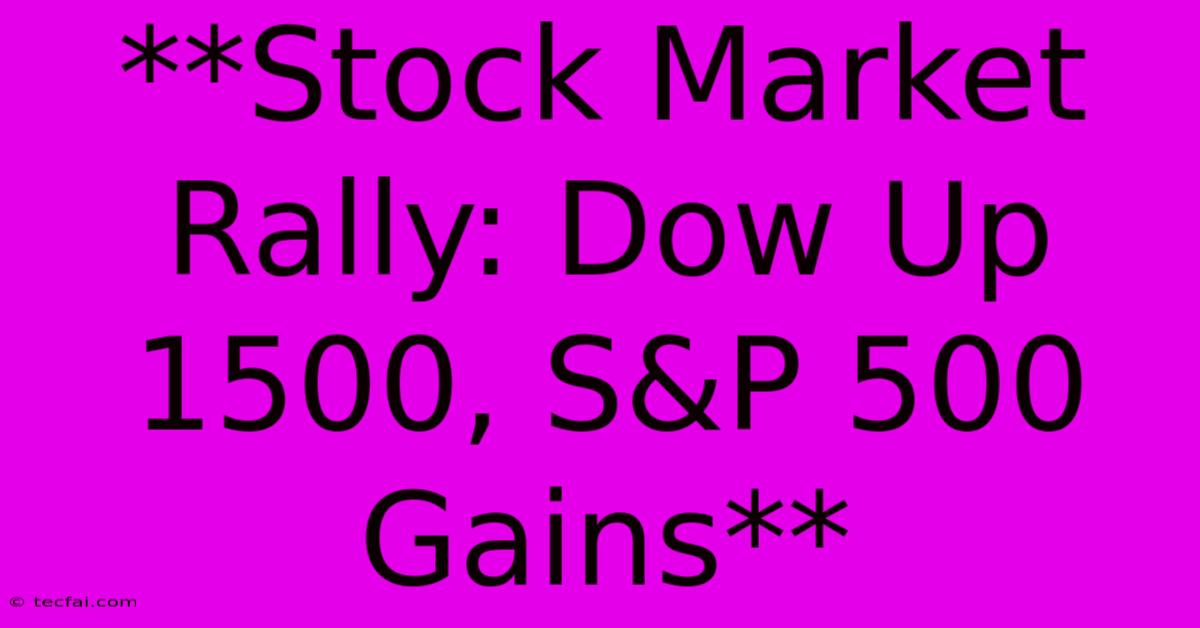 **Stock Market Rally: Dow Up 1500, S&P 500 Gains**