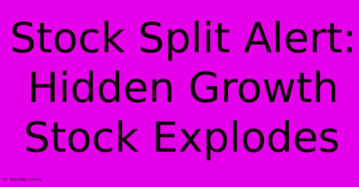 Stock Split Alert: Hidden Growth Stock Explodes