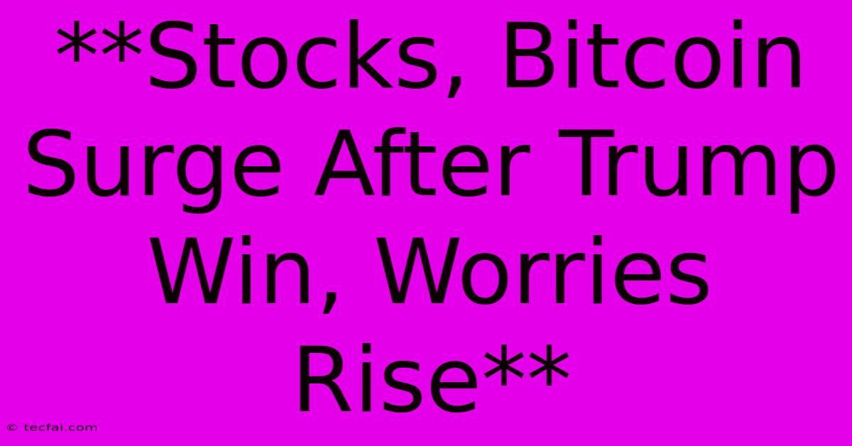 **Stocks, Bitcoin Surge After Trump Win, Worries Rise**