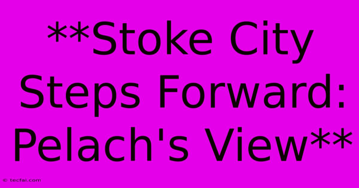 **Stoke City Steps Forward: Pelach's View**