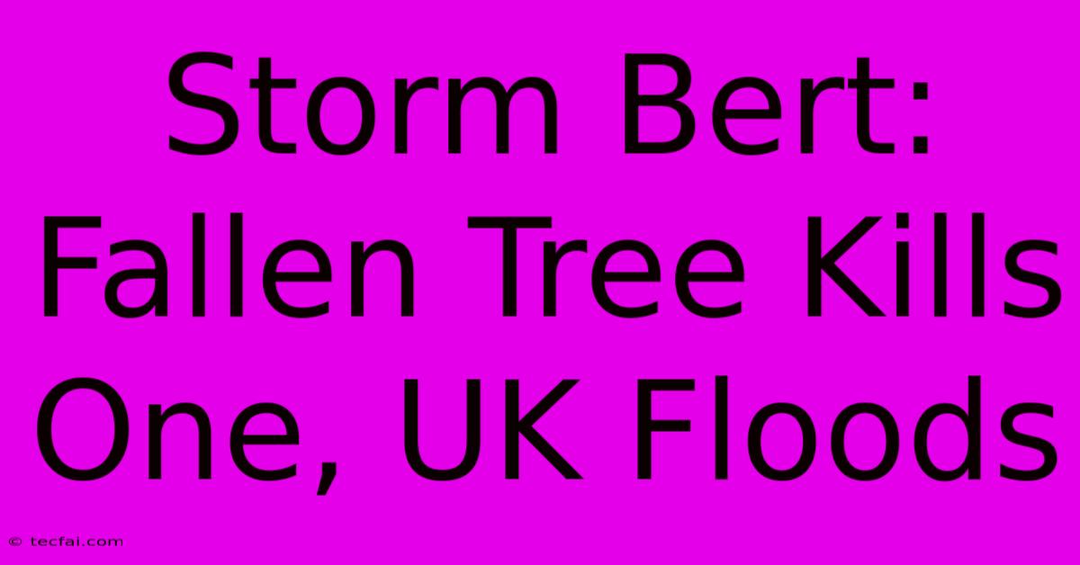 Storm Bert: Fallen Tree Kills One, UK Floods