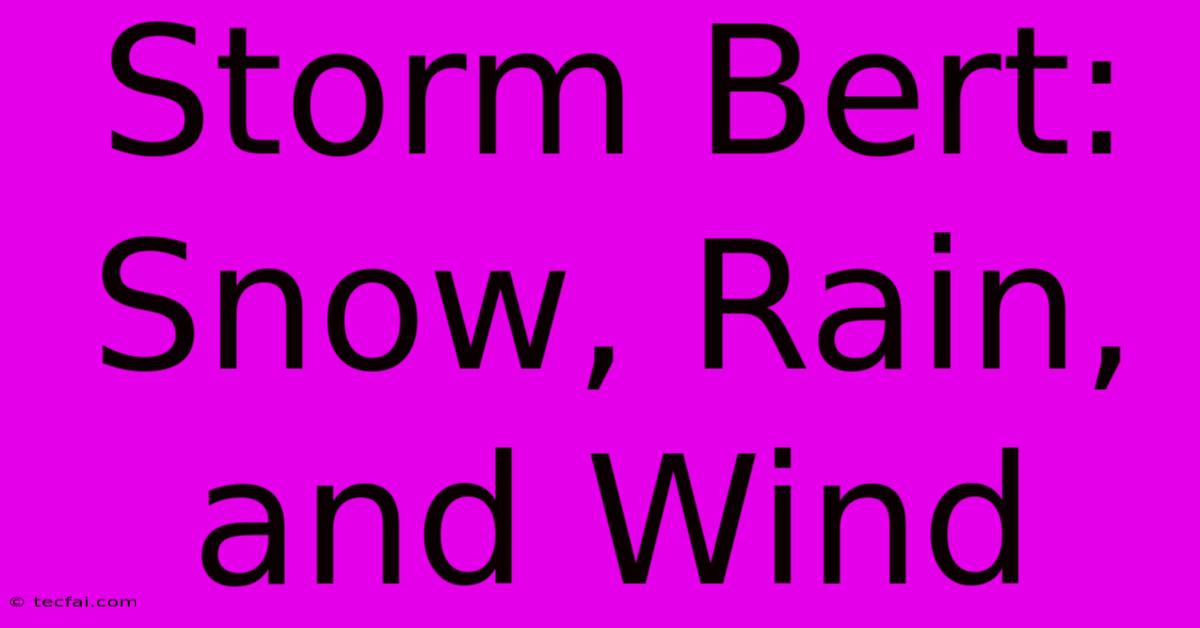 Storm Bert: Snow, Rain, And Wind