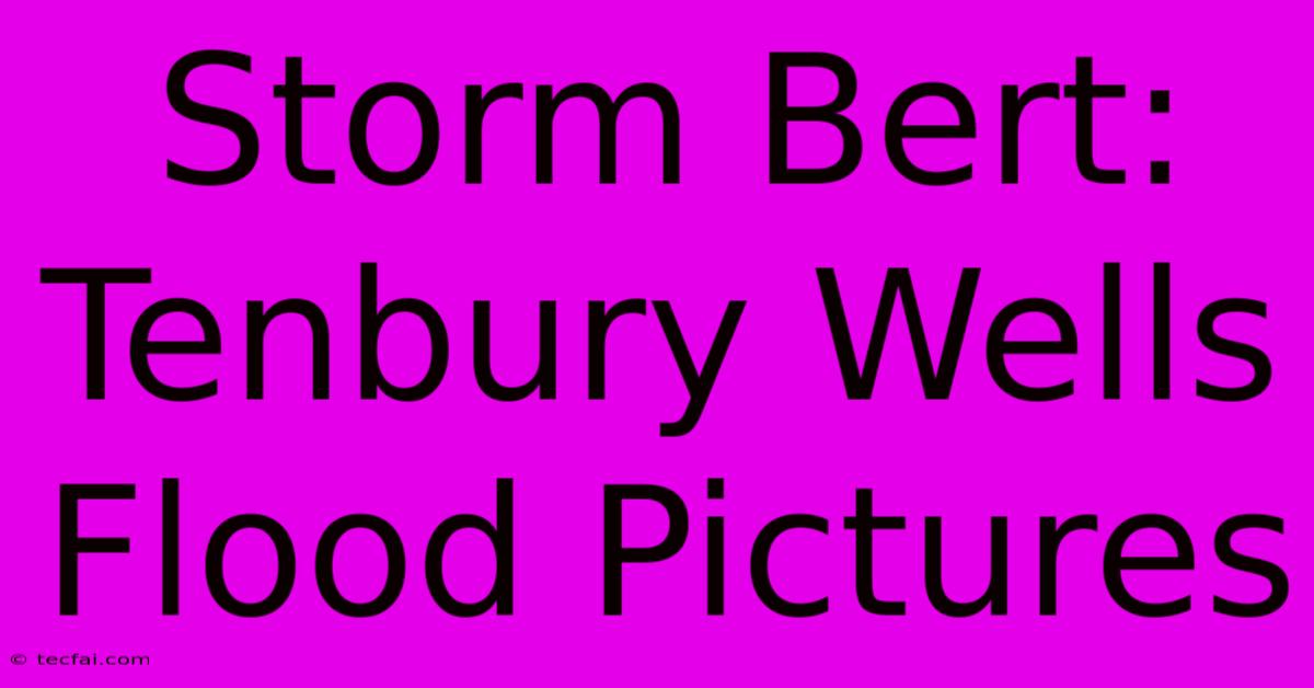 Storm Bert: Tenbury Wells Flood Pictures