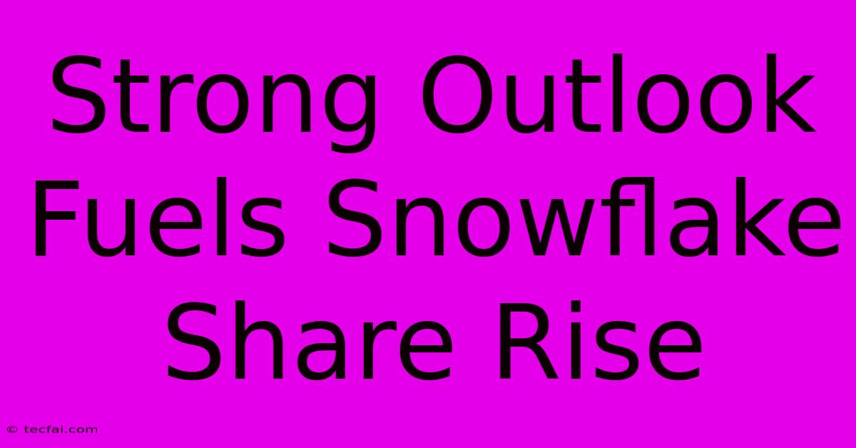 Strong Outlook Fuels Snowflake Share Rise