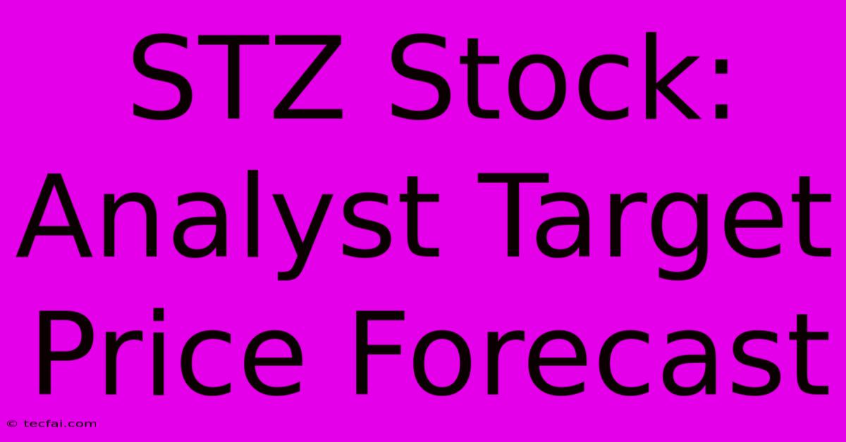 STZ Stock: Analyst Target Price Forecast