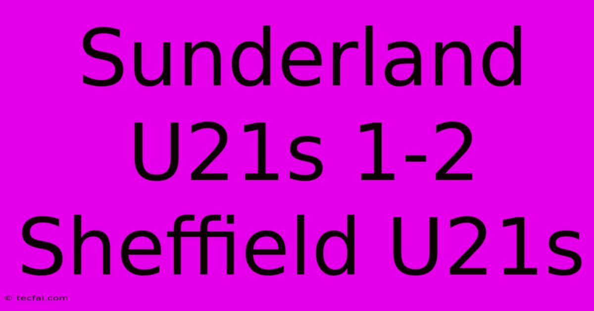 Sunderland U21s 1-2 Sheffield U21s