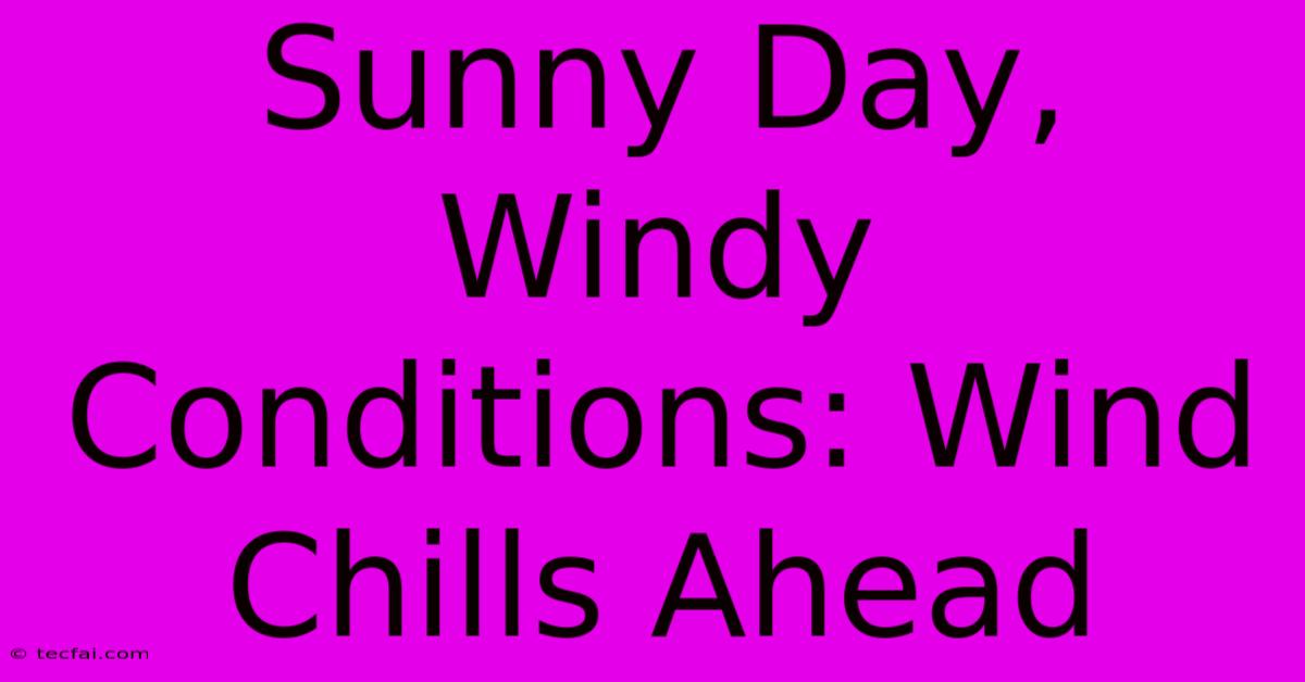 Sunny Day, Windy Conditions: Wind Chills Ahead