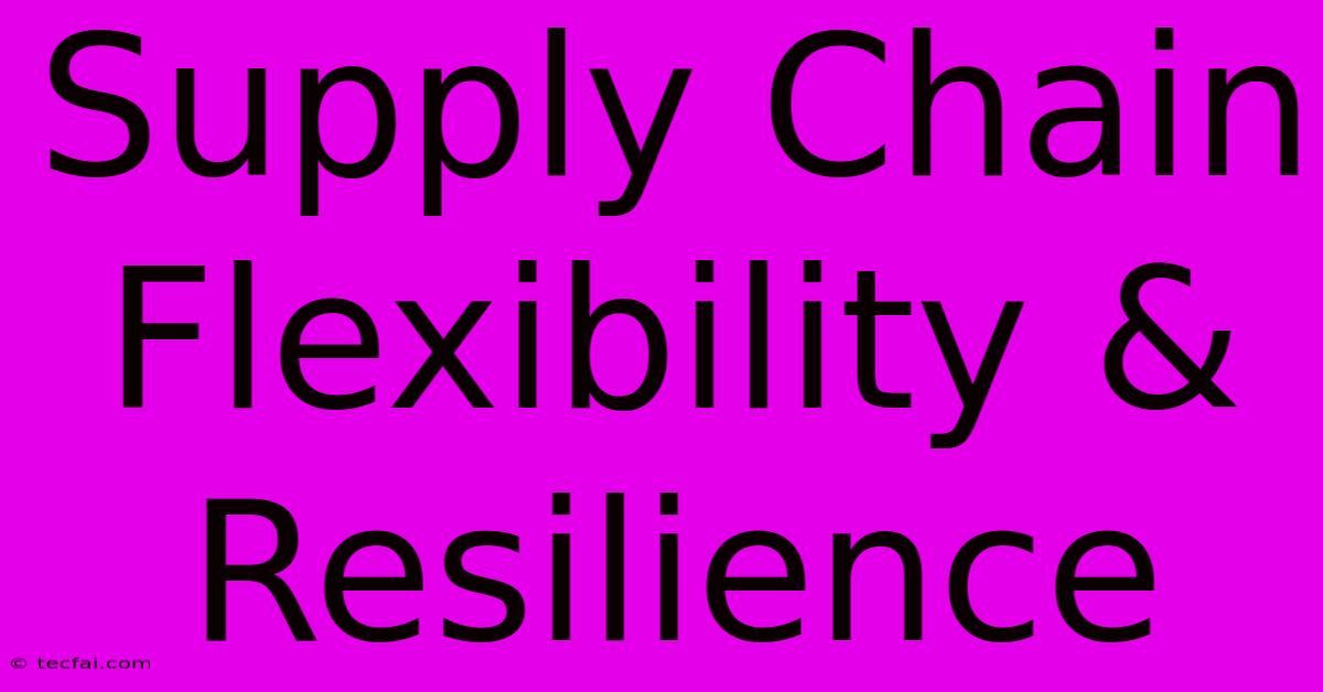 Supply Chain Flexibility & Resilience