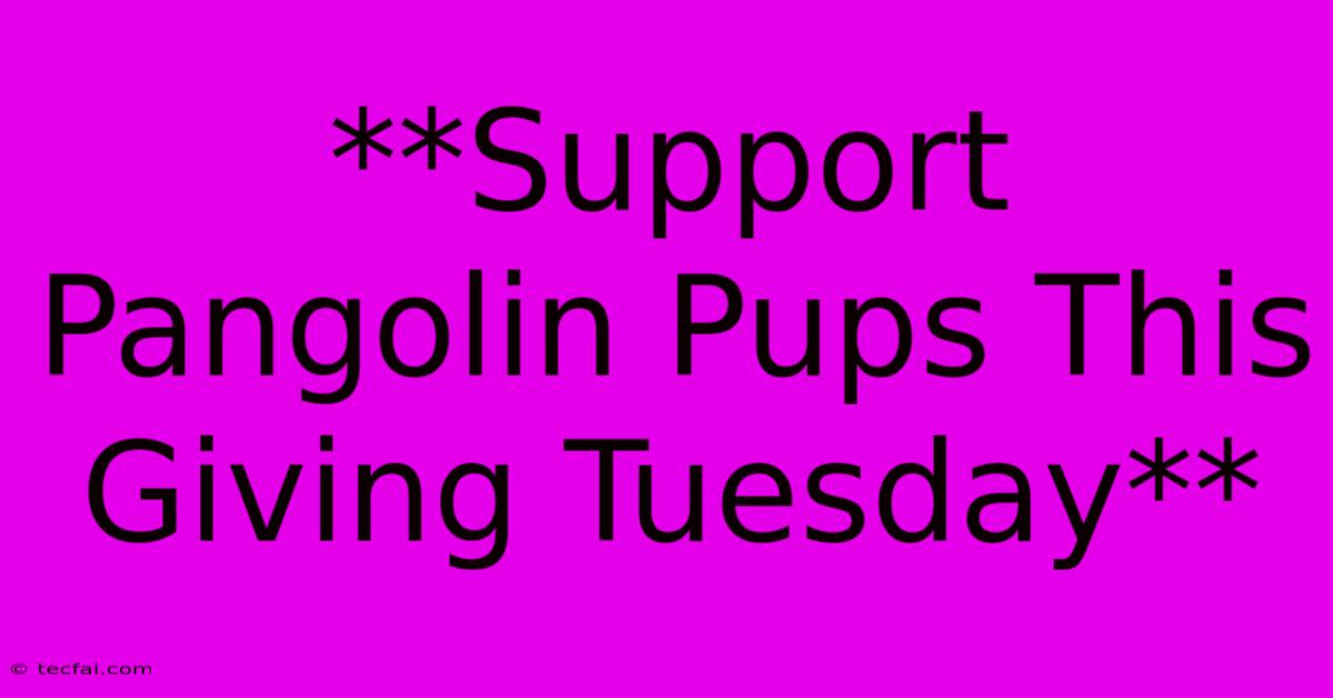 **Support Pangolin Pups This Giving Tuesday**