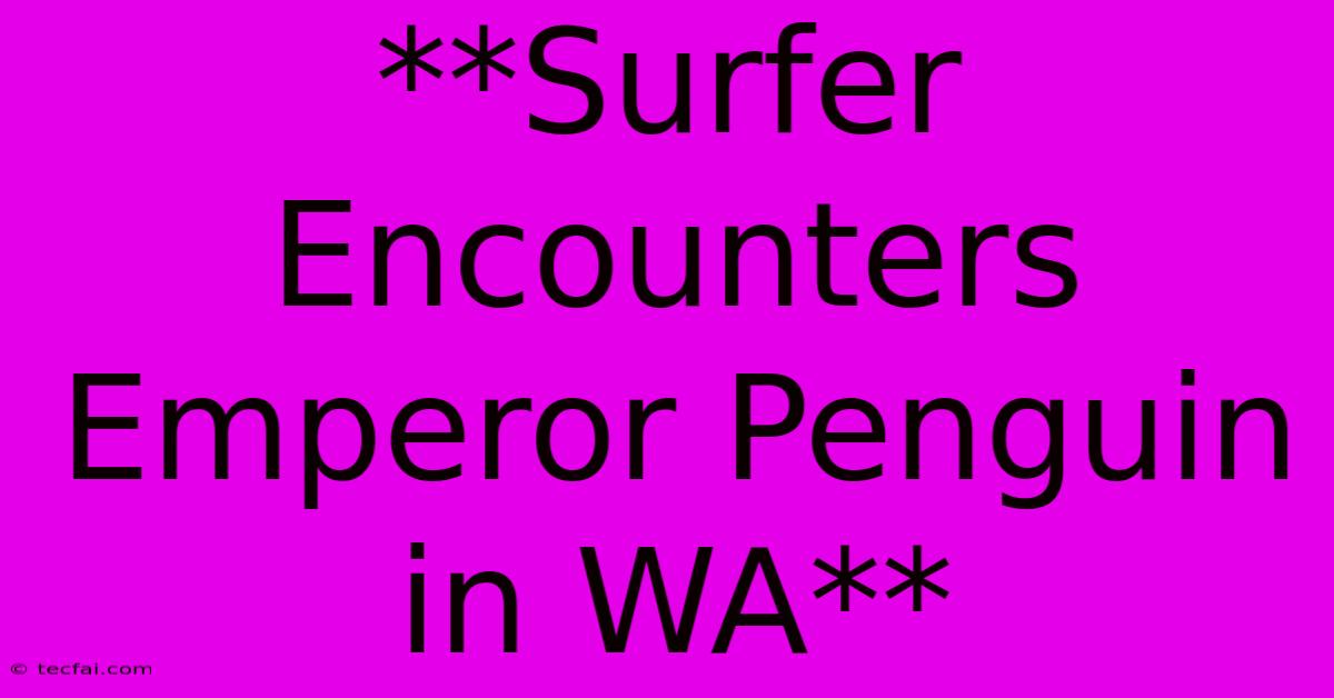 **Surfer Encounters Emperor Penguin In WA**