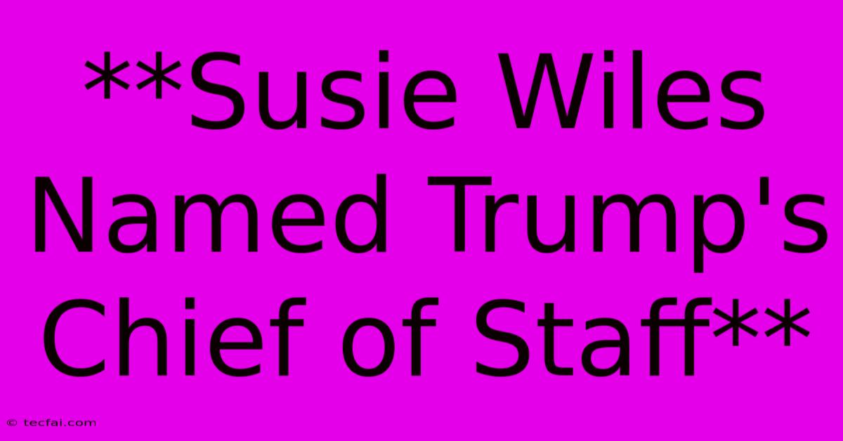 **Susie Wiles Named Trump's Chief Of Staff**