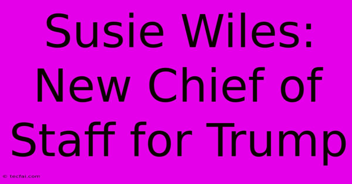 Susie Wiles: New Chief Of Staff For Trump