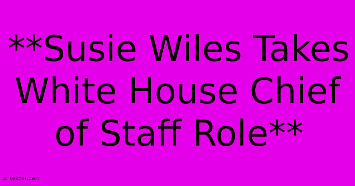 **Susie Wiles Takes White House Chief Of Staff Role** 