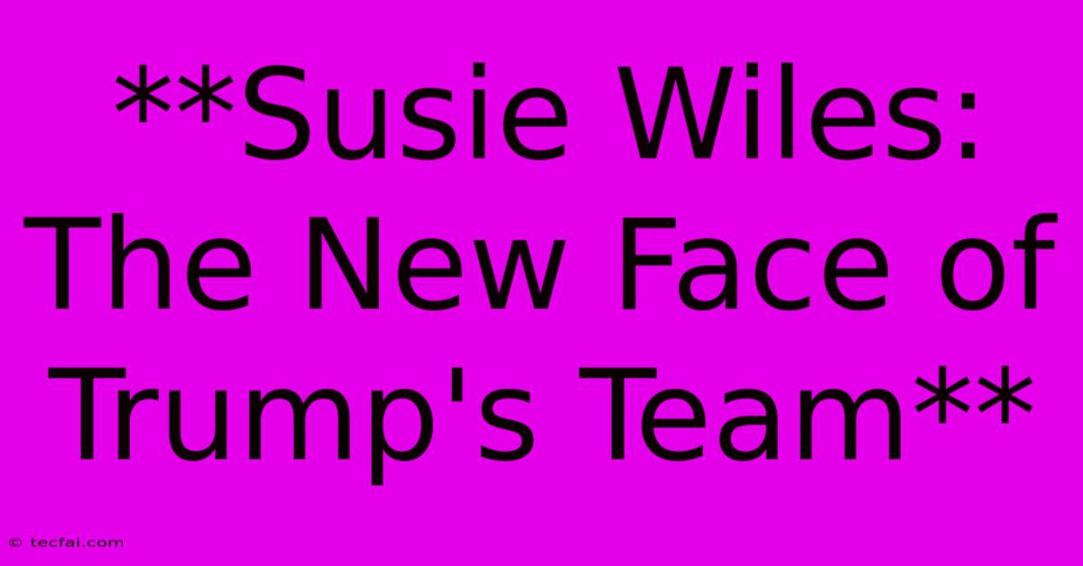 **Susie Wiles: The New Face Of Trump's Team** 