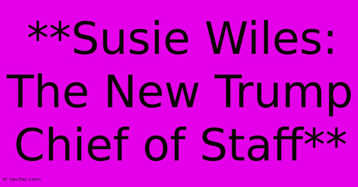 **Susie Wiles: The New Trump Chief Of Staff** 