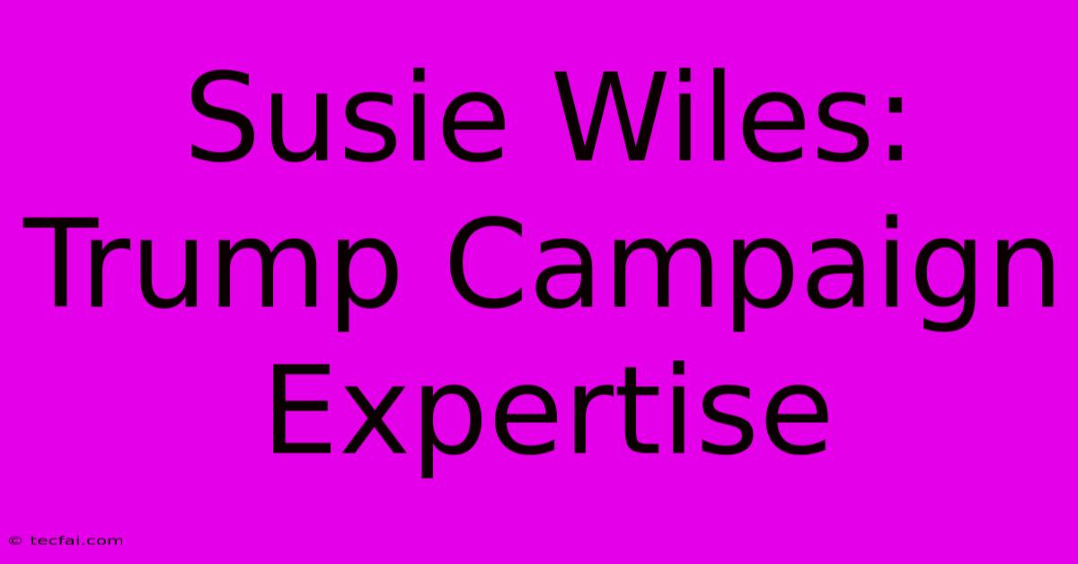 Susie Wiles: Trump Campaign Expertise